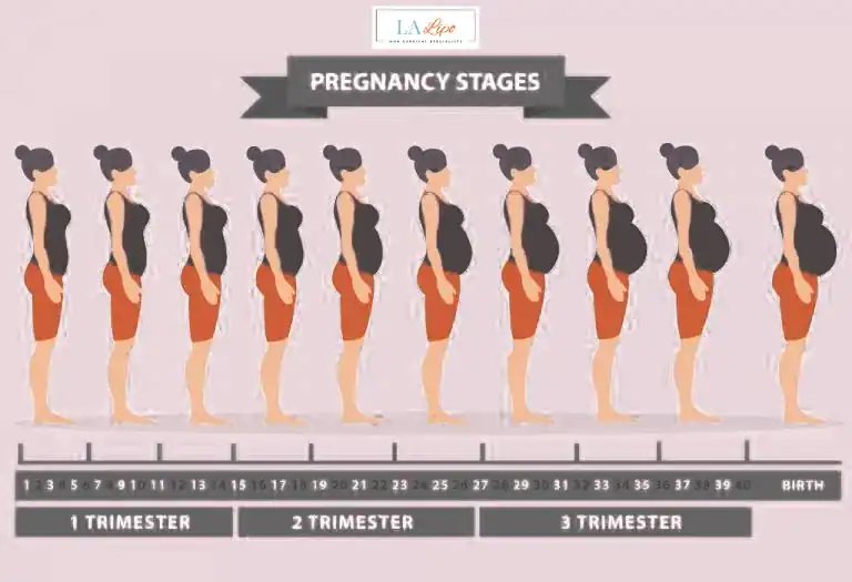 First Trimester (Weeks 1–12): Early Changes You Might Not Notice West Dulwich